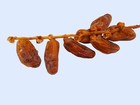 Top view of dried dates fruit with stem isolated on white background Stock Photos