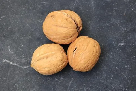 Top view of a dried fruit Fotos de archivo