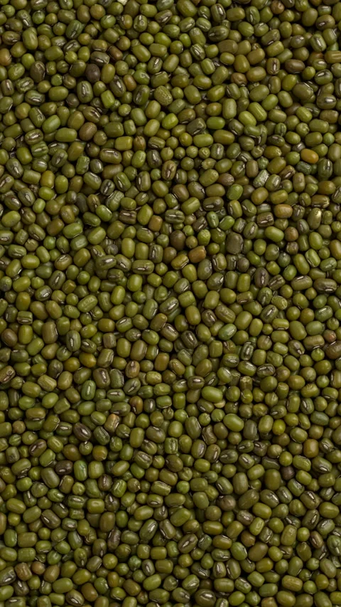 Top view of dried mung beans background texture. Vertical video. Stock Footage 297622377