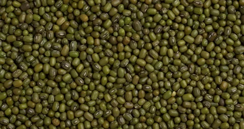 Top view of dried mung beans background texture. Stock Footage 297622430