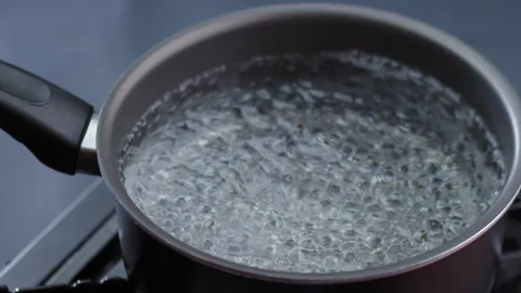Top view of dried mushrooms falling into a pot of boiling water Stock Footage 158815874