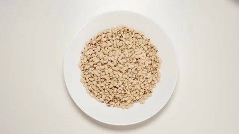 TOP VIEW: Dried white beans fill a white dish (stop motion) 스톡 동영상 69809567