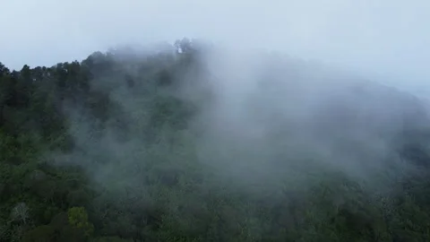 Top view from drone of beautiful mountain tropical forest during winter Stock Footage 222478404