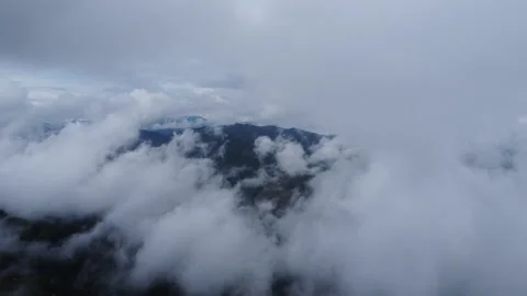 Top view from drone of beautiful mountain tropical forest during winter  Stock Footage 222500812