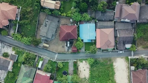 Top view from drone of the beautiful paddy fields with velvet green young sprout Video stock 79513694