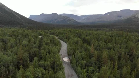 A top view from the drone of a dirt road in a dense forest near the mountains Stock Footage 164170555