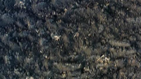 Top view from a drone on the land Stock Footage 297170132