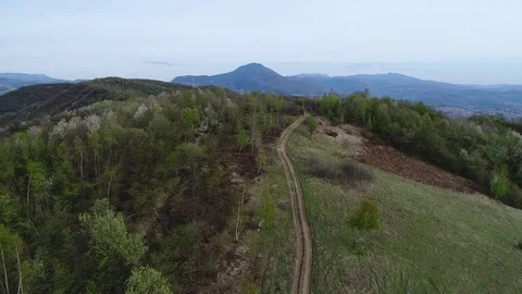 Top view drone made 4k video of countryside road meadow with trees around Stock Footage 74579587