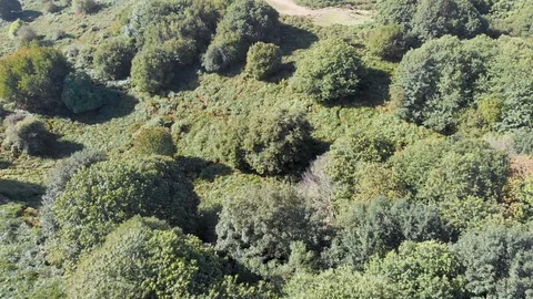 Top view from drone over green hills Stock Footage 112331921