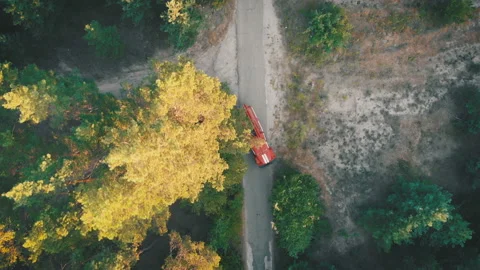 Top view from the drone to the red Fire Truck Driving along the Road in a Pine Stock Footage 94436996