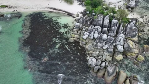Top View Drone Shot of Tropical Beach Shoreline Video stock 327465760