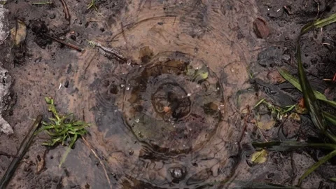 Top view of drop falls into water and diverging circles of water in slow motion. Stock Footage 268874196