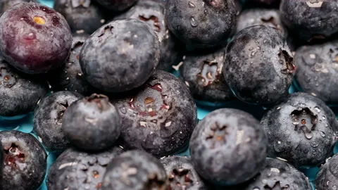Top view of a drop of water on fresh blueberries. The basis of vegan nutrition. Video stock 170395847
