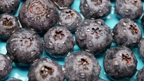 Top view of a drop of water on a ripe fresh blueberry. Stock Footage 170395355