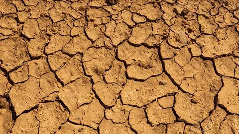 Top view of Dry cracked soil texture in the dry season. Climate change Stock Illustration