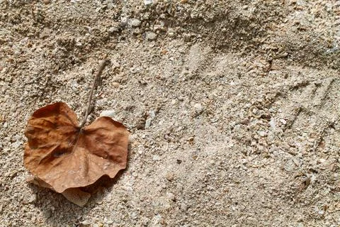 Top View of Dry Leaf on Sandy Beach at Tanjung Lesung Beach Indonesia Stockfoto's