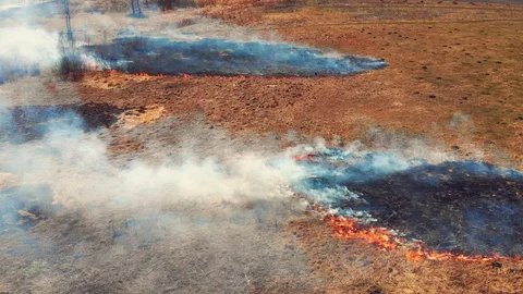 Top view of dry meadow on fire Stock Footage 93132470