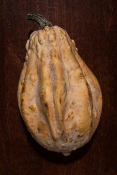 Top view of a dry pumpkin Foto stock