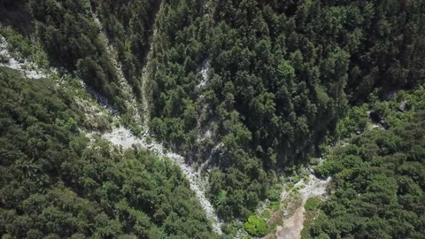 Top View of a Dry Stream in a Mountain Forest Stock Footage 237986846