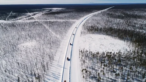 Top view of dump trucks driving one after another in winter forest on snowy road Stock-Footage 119407077