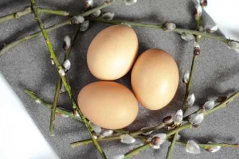 Top view of Easter composition of chicken eggs lying among twigs of a willow. Stock Photos