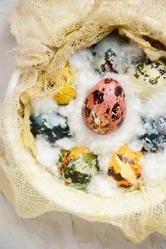 Top view easter egg close up. Spring holiday concept. Bowl with painted pastel Stock Photos