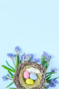 Top view of easter egg nest and snowdrops flat lay vertical orientation. Stock Photos