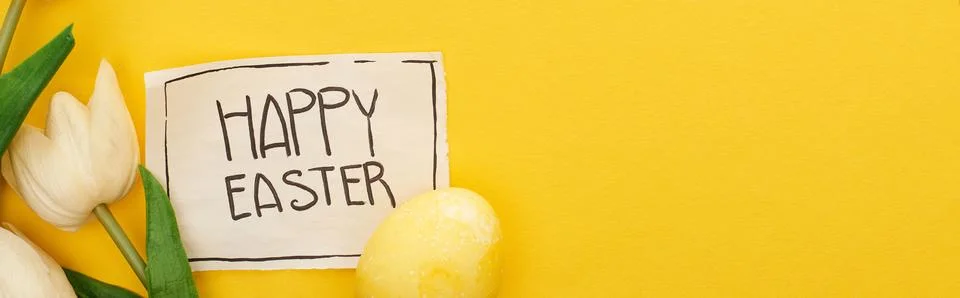 Top view easter egg tulips Stock Photos