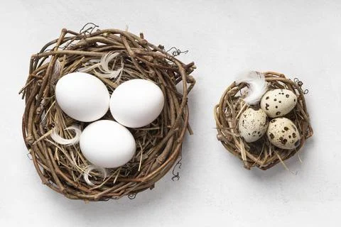 Top view easter eggs bird nests feathers Stock Photos