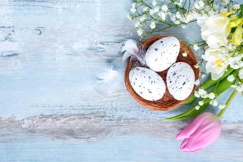 Top view of easter eggs in a nest. Spring flowers and feathers over blue ru.. Stock Photos