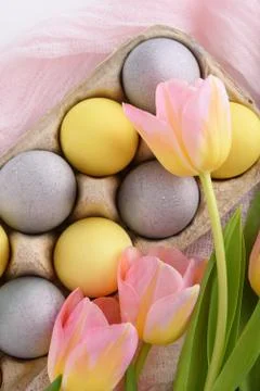 Top view Easter eggs with tulips Stock Photos