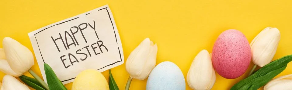 Top view easter eggs tulips Stock Photos