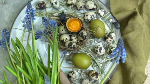 Top view of an Easter plate with quail eggs and spring flowers Stock Footage 304171801