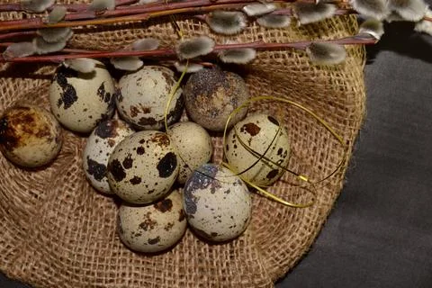 Top view Easter quail eggs in bagging and willow branches on dark background Stock-Fotos