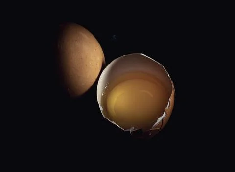 Top view of Egg yolk in Broken raw chicken eggshell and Fresh chicken egg (.. Stock Photos