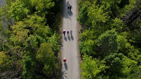 Top View Elderly People Walking For Health And Fitness In Forest By Quiet Lake Stock Footage 317996323