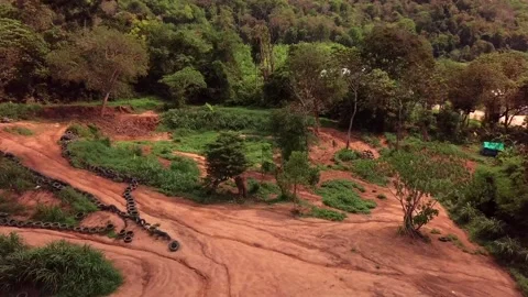 Top view of elephant herd Thailand Stock Footage 161098694