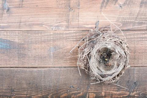 Top view of empty bird nest on wooden background Stock Photos