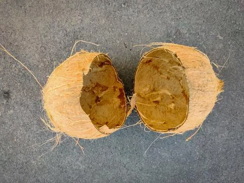 Top view of empty coconut shell cut in half isolated on grey background Stock Photos