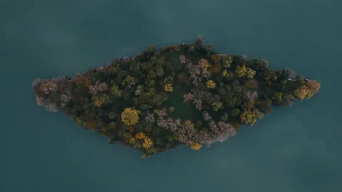 Top view of an empty deserted island overgrown with green and yellow trees Stock Footage 142889312