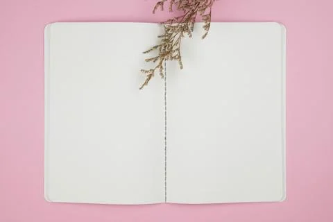 Top view of empty notebook with caspia flower on pink background Stock Photos