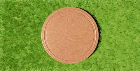 Top View of an Empty Round Wooden Board on Green Grass Stock Illustration