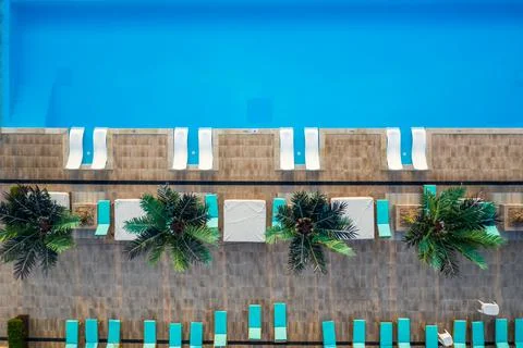 Top view of an empty swimming pool Stock-Fotos