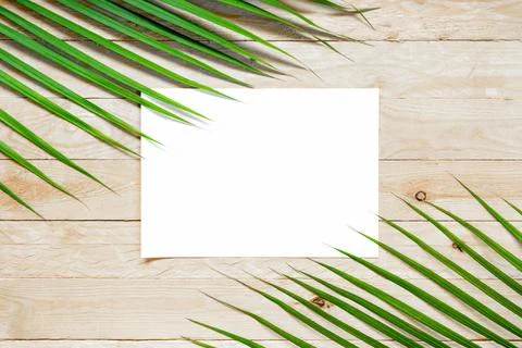 Top view empty white paper with palm leaf on wooden table Stock-Fotos