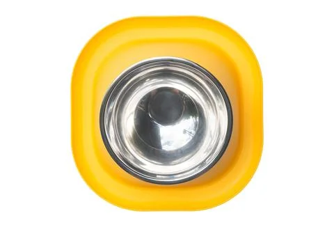 Top view of empty yellow water moat anti ant small dog and cat food bowl Stock Photos
