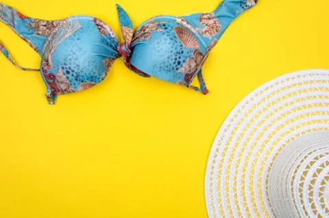 Top view of essential modern young lady or girl on vacations with empty space Stock Photos