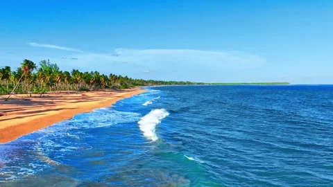 Top view of evening sandy palm beach. Tropical coastline with golden sand Stock Footage 298258145