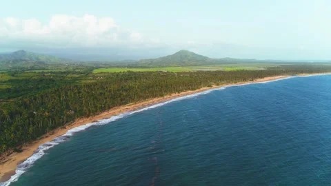 Top view of an evening wild palm beach in the Caribbean. Stock Footage 252053107
