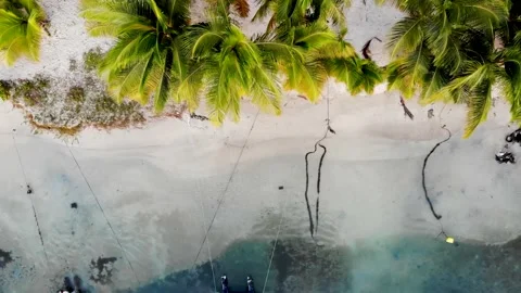 Top view of an exotic beach in the Caribbean with small boats in the sea. Stock Footage 147673524