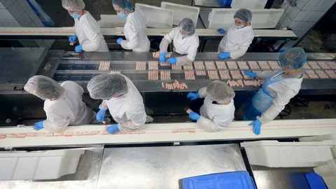 Top view of factory staff processing and relocating fish sticks Stock Footage 117924924